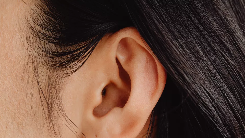 A picture of the left ear. 