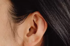 A picture of the left ear. 
