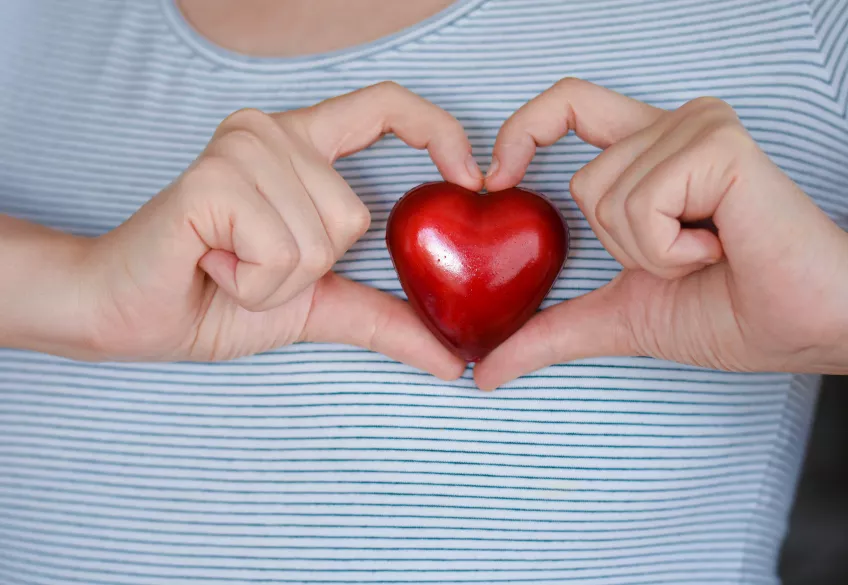 A photo of two hands in a heartshaped position holding a red plastic heart against their blue and white striped t-shirt.