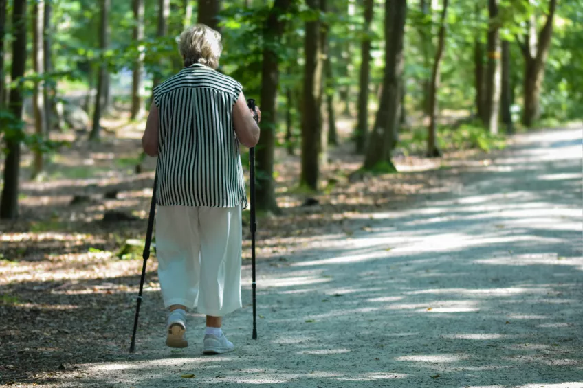 Photo of an elderly woman in a black and white striped top and white trousers with nordic walking sticks walking on a footpath in the woods.